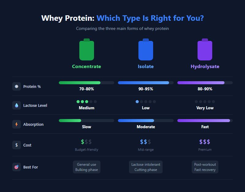 Whey protein comparison chart: Concentrate (70–80% protein, budget-friendly), Isolate (90–95%, low lactose), and Hydrolysate (90–95%, fastest absorption, premium price)