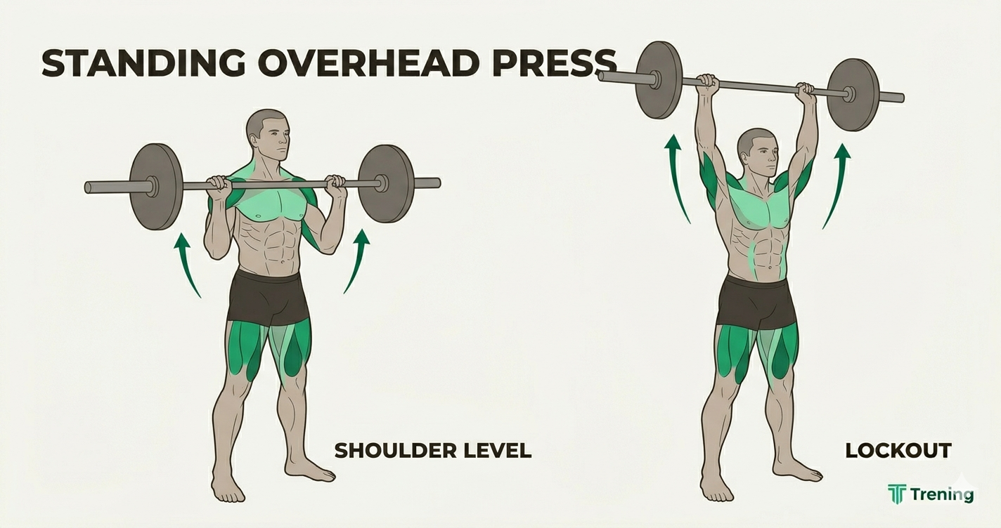 Standing overhead press form — bar at shoulder level and lockout position with arms fully extended overhead