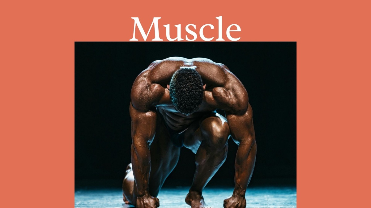 Rep Ranges Explained: The Complete Guide to Repetition Training